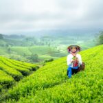 woman in tea field in vietnam